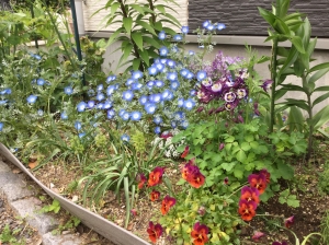 『花壇』の画像